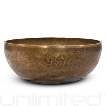 Unlimited 22" ReGrounding Bowls