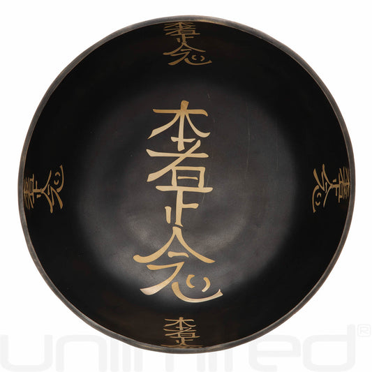 Unlimited 10" Hon Sha Ze Sho Reiki Singing Bowls