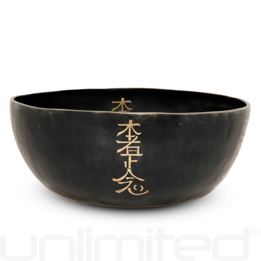 Unlimited 10" Hon Sha Ze Sho Reiki Singing Bowls