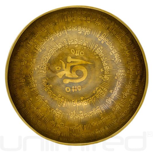 Unlimited 8" Many Mantras Singing Bowls